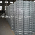 Welded Wire Mesh